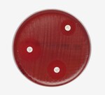 Mueller-Hinton Agar with 5% Sheep Blood