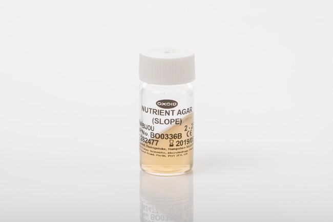 Nutrient Agar (Slope)