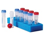 Quanti-Cult Plus&trade; 金黄色葡萄球菌金黄色亚种 ATCC&trade; 6538&trade;