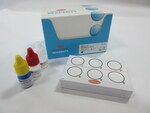 Salmonella Test Kit using Latex Agglutination