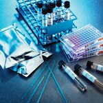 GNID 板带孔密封件