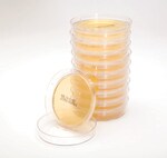 Remel&trade; 无菌接触皿胰蛋白酶大豆琼脂（含卵磷脂、聚山梨醇酯 80，经辐照）