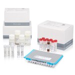 One Lambda™ HybriType™ HLA Plus Typing Flex Kit 96