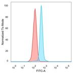 HDAC6 Antibody in Flow Cytometry (Flow)