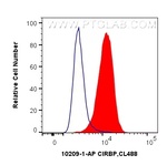 CIRBP Antibody in Flow Cytometry (Flow)