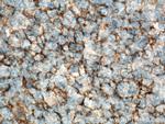 CD82 Antibody in Immunohistochemistry (Paraffin) (IHC (P))