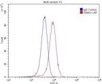 HTR3A Antibody in Flow Cytometry (Flow)