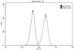 IRAK1 Antibody in Flow Cytometry (Flow)