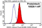 RRM1 Antibody in Flow Cytometry (Flow)