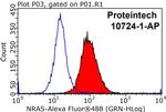 NRAS Antibody in Flow Cytometry (Flow)