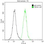 CDC27/APC3 Antibody in Flow Cytometry (Flow)