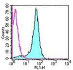 CD2 Monoclonal Antibody (RM2-5), FITC, eBioscience™