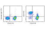 CD3e Monoclonal Antibody (145-2C11), FITC, eBioscience™
