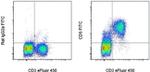 CD5 Monoclonal Antibody (53-7.3), FITC, eBioscience™