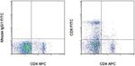 CD8a Monoclonal Antibody (OX8), FITC, eBioscience™