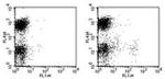 CD11c Monoclonal Antibody (N418), FITC, eBioscience™