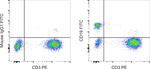 CD19 Monoclonal Antibody (HIB19), FITC, eBioscience™