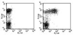 CD23 Monoclonal Antibody (B3B4), FITC, eBioscience™
