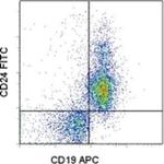 CD24 Monoclonal Antibody (30-F1), FITC, eBioscience™