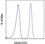 CD24 Monoclonal Antibody (eBioSN3 (SN3 A5-2H10)), FITC, eBioscience™