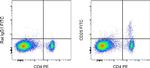 CD25 Monoclonal Antibody (PC61.5), FITC, eBioscience™