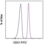 CD31 (PECAM-1) Monoclonal Antibody (WM-59 (WM59)), FITC, eBioscience™