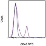 CD40 Monoclonal Antibody (5C3), FITC, eBioscience™