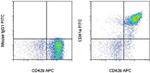 CD41a Monoclonal Antibody (HIP8), FITC, eBioscience™