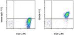 CD42b Monoclonal Antibody (HIP1), FITC, eBioscience™