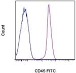 CD45 Monoclonal Antibody (OX1), FITC, eBioscience™