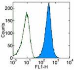 CD47 Monoclonal Antibody (2D3), FITC, eBioscience™