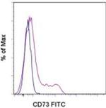 CD73 Monoclonal Antibody (AD2), FITC, eBioscience™
