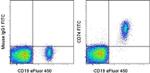 CD74 Monoclonal Antibody (5-329), FITC, eBioscience™