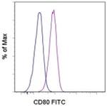 CD80 (B7-1) Monoclonal Antibody (2D10.4), FITC, eBioscience™