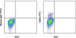 CD83 Monoclonal Antibody (HB15e), FITC, eBioscience™