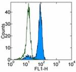 CD98hc Monoclonal Antibody (5E5), FITC, eBioscience™