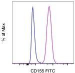 CD155 Monoclonal Antibody (2H7CD155), FITC, eBioscience™