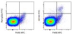 CD163 Monoclonal Antibody (TNKUPJ), FITC, eBioscience™