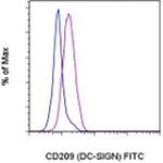 CD209 (DC-SIGN) Monoclonal Antibody (eB-h209), FITC, eBioscience™