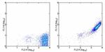 Mouse IgG (H+L) Secondary Antibody in Flow Cytometry (Flow)