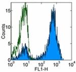 Mouse IgG (H+L) Secondary Antibody in Flow Cytometry (Flow)