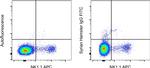 Syrian Hamster IgG Isotype Control in Flow Cytometry (Flow)