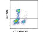 Ki-67 Monoclonal Antibody (20Raj1), FITC, eBioscience™