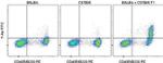 Ea52-68 peptide bound to I-Ab Antibody in Flow Cytometry (Flow)