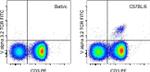 TCR V alpha 3.2 Antibody in Flow Cytometry (Flow)