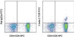 TCR V beta 2 Monoclonal Antibody (B20.6), FITC, eBioscience™