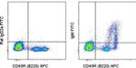 Mouse IgM Antibody in Flow Cytometry (Flow)