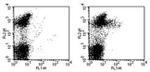 CD249 (BP-1) Monoclonal Antibody (6C3), FITC, eBioscience™