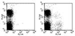 Ly-49I Monoclonal Antibody (YLI-90), FITC, eBioscience™