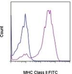 MHC Class II Monoclonal Antibody (YKIX334.2), FITC, eBioscience™